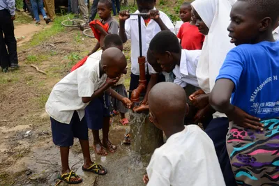 DSC_9410 (Large).JPG